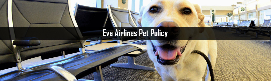 eva air travel pets